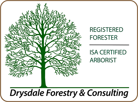 Drysdale Forestry and Consulting