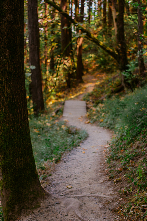 Wooded Path